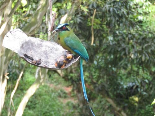 Alojamiento rural pájaros y flores