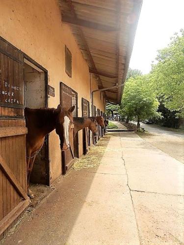 la Frégière Chalets