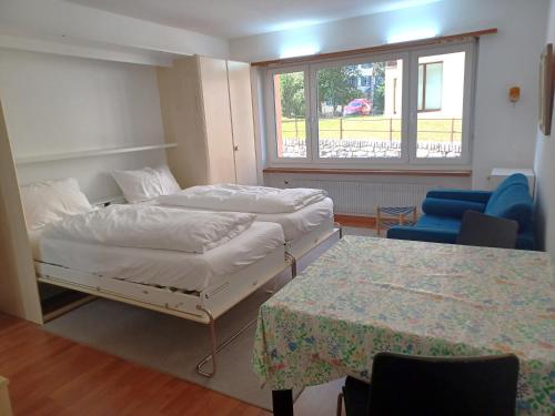 Allod Bad 111 - Apartment - St. Moritz