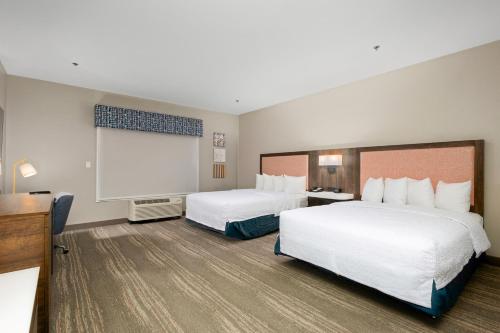 Hampton Inn By Hilton & Suites Harlingen