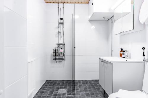 Arctic Blue City Suite - Rovaniemi