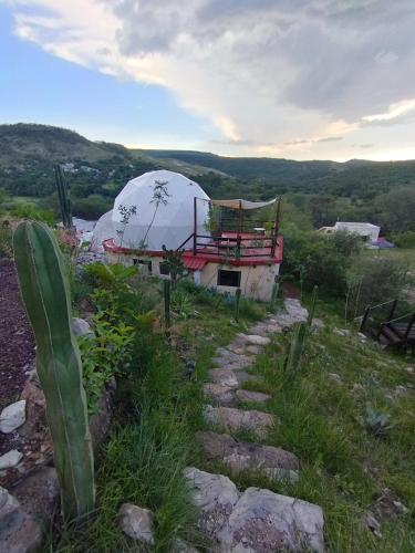 Chichi Jamaica Glamping Hotel Campestre in ปันโตคา