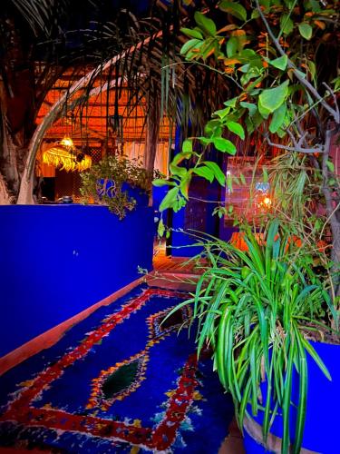 Riad Alamine - image 13