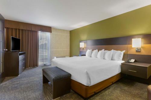 Best Western Plus University Inn - image 6