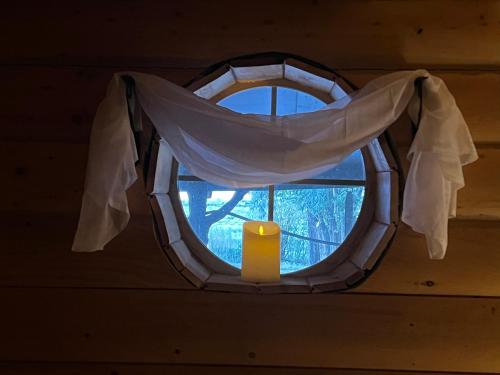 The Gratitude Homestay in Alamosa, USA