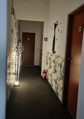 Green Cat Rooms 5