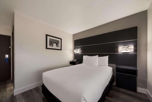 Best Western SeaWorld San Antonio - image 3