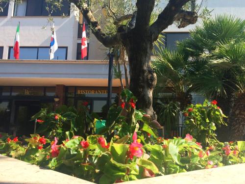 Kert, Hotel Cristallo Relais, Sure Hotel Collection By Best Western in Tivoli