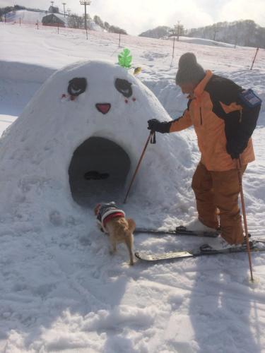 STI SKI LODGE