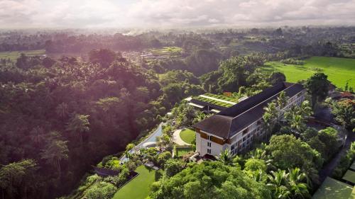 The Westin Resort & Spa Ubud, Bali photo 1