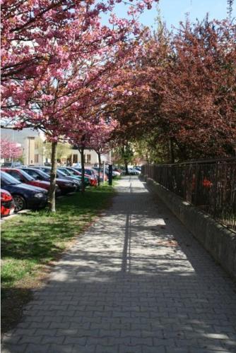 Hotel Oko - image 11