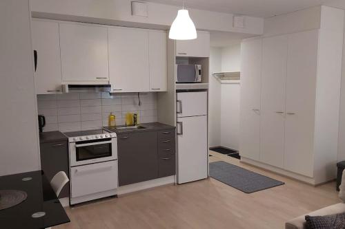 Top location studio in town right next to the train station and free parking Kotimaailma Apartments in Jyvaskyla
