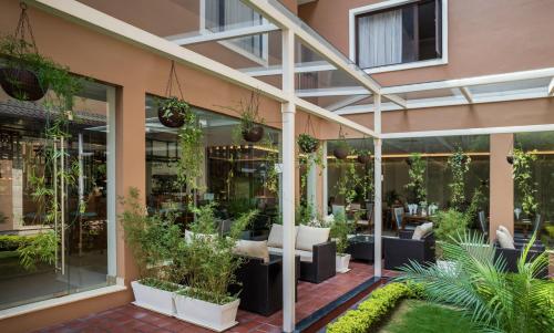 花園, Hotel Thrive, A Tropical Courtyard in 加德滿都