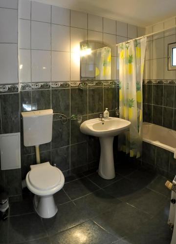 Pensiunea Sub Cetate Deva Pensiunea Sub Cetate Deva