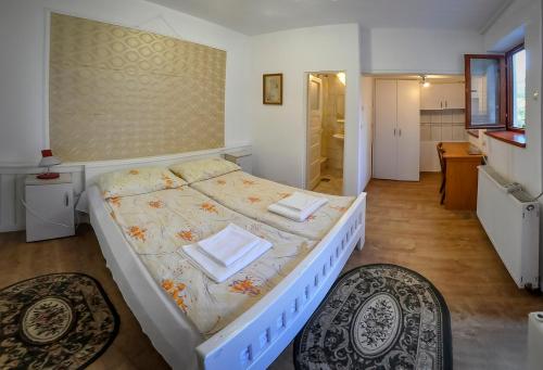 Pensiunea Sub Cetate Deva Pensiunea Sub Cetate Deva