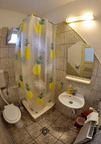 Pensiunea Sub Cetate Deva Pensiunea Sub Cetate Deva