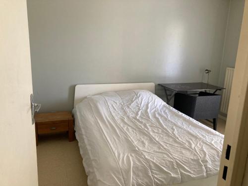 Chambre chez l'habitant à Lyon Centre - Pension de famille - Lyon