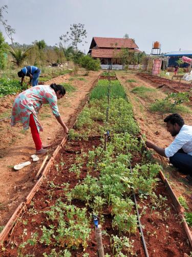 Feel good farm stay