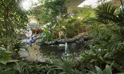 Center Parcs Sauerland Winterberg-Medebach - image 9