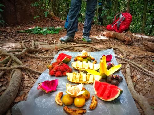 JUNGLE LIFE GUEST HOUSE - Trekking & Transport Only Book With Us in Bukit Lawang