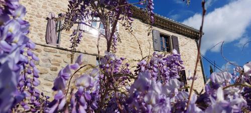 La maison WISTERIA