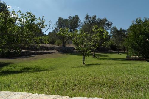 Trullo Fontana Sant'Anna