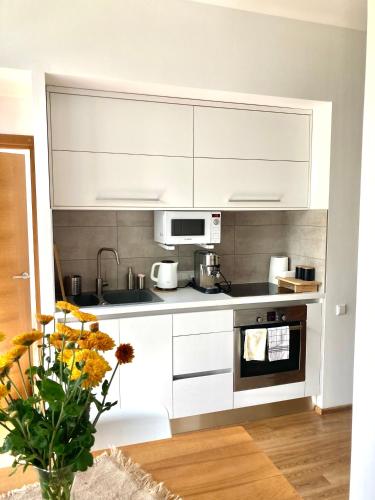 Apartment Dzelzavas 19/3, Riga (photo 5)