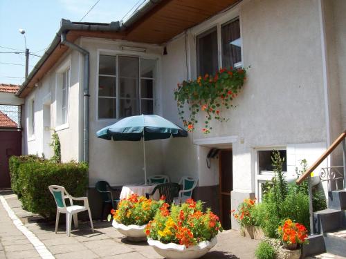 View, Pensiunea Magnolia in Prejmer
