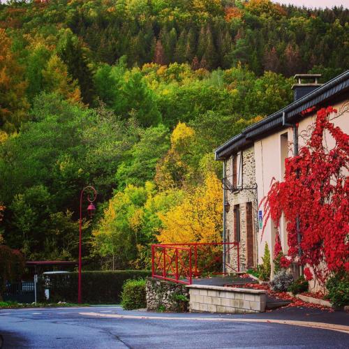 Maison 4p Piscine et Parc Naturel - Location saisonnière - Les Hautes-Rivières