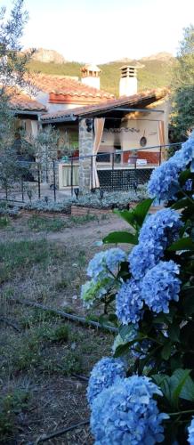 La Cabaña Romantica de Llano