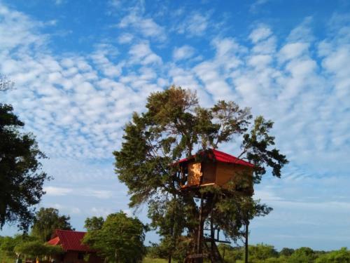ANIMAL POINT YALA RESORT