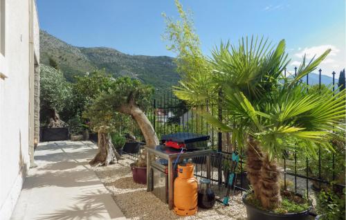 Lovely Apartment In Cavtat With Kitchen