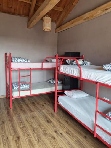 10 bunk beds
