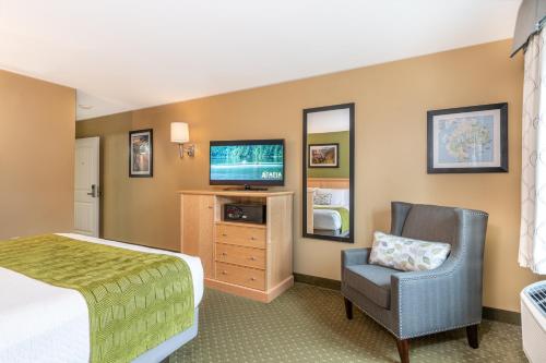 1 king bed, 1 sofa bed