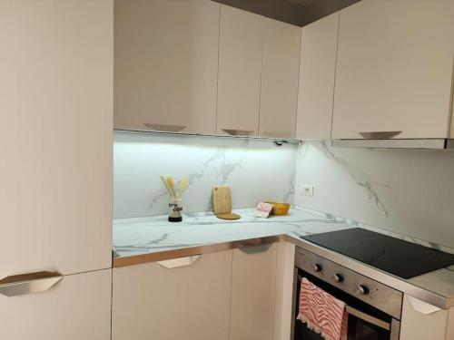 Two-Bedroom Apartment image 10