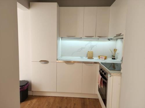 Cozy Midtown Apartment in Tirana - image 5