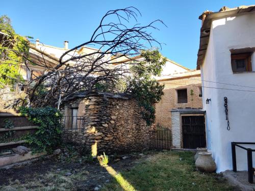 Aed, Casa Las Alacenas, Bubión (La Alpujarra, Granada) (Casa Las Alacenas, Bubion (La Alpujarra, Granada)) in Bubion