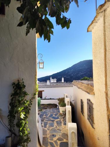 Vaade, Casa Las Alacenas, Bubión (La Alpujarra, Granada) (Casa Las Alacenas, Bubion (La Alpujarra, Granada)) in Bubion