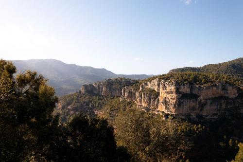VINYES DEL PRIORAT in Cornudella