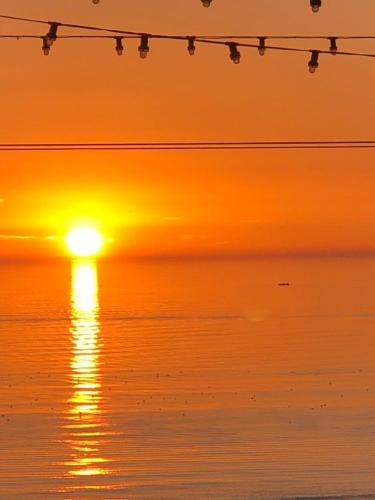 The Rutland - image 9