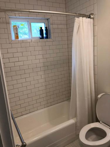 Renovated Cottage Minutes From Downtown