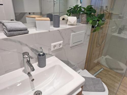 Ferienwohnung am Wald in Waldkirch, Deutschland