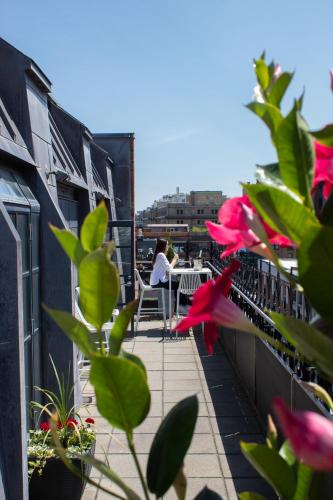 Premium Suite with Terrace