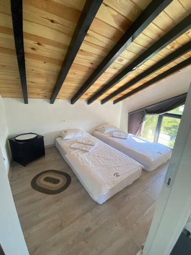 Sapanca Felix Suit