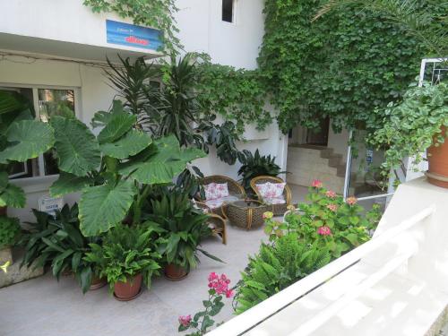 Family Hotel Sofi - image 2