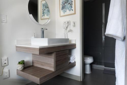 Book the Family Suite Family Suite