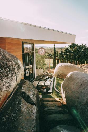 La Cima del Valle, Valle de Guadalupe (foto 9)