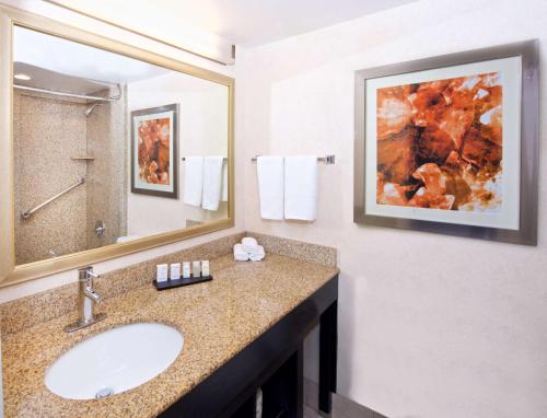 Embassy Suites Colorado Springs - image 7