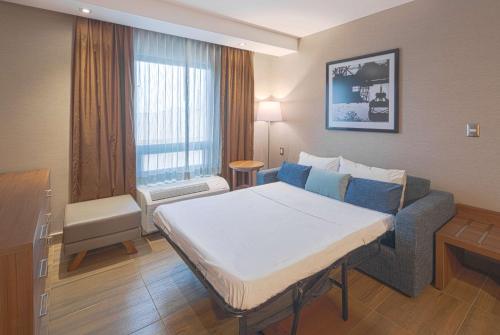 One-Bedroom King Suite - Non-Smoking image 3