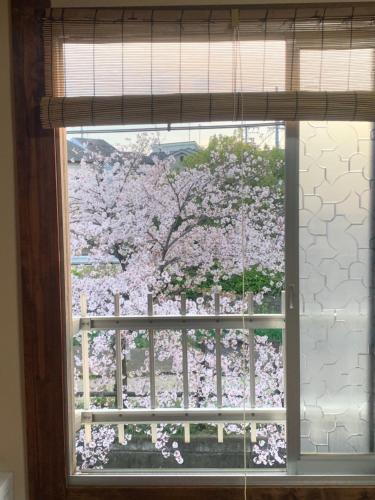 1F SAKURA RIVER HOUSE, yao 桜と川の家 1F